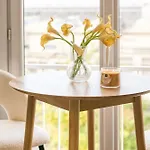 Chic Confort Paris Idf Appartement